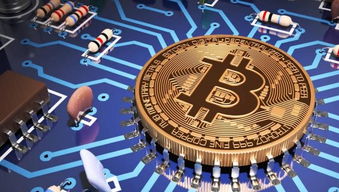 Bitcoin miners setting up ASIC rigs in a German-hosted mining farm