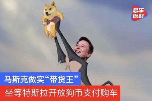 A vibrant depiction of Dogecoin mining rigs in action, highlighting the community's energetic spirit